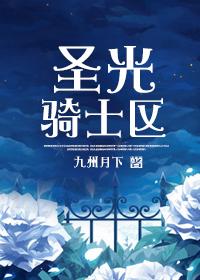 圣骑士圣光