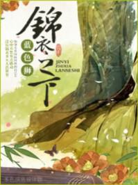 锦衣之下女主角叫什么名字