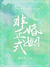 非正式婚姻by雾里青笔趣阁