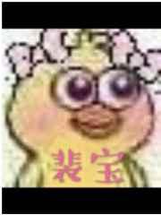 裴宝by池总渣txt全文