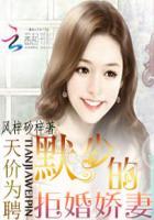 天价宠妻墨少的小甜妻