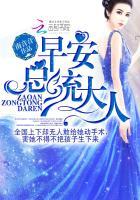 夏星辰白夜擎什么书名