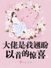 大佬是我前男友
