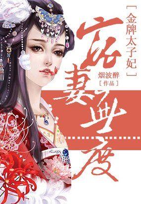 宠妻无度之太子妃
