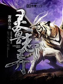 灵兽简介