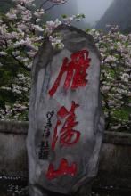 冰炭同炉by言午鱼攻受