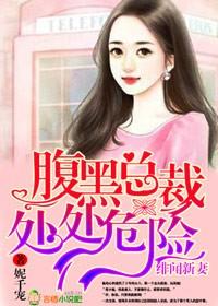 绯闻总裁复婚吧老婆