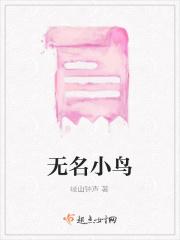 无名鸟播放