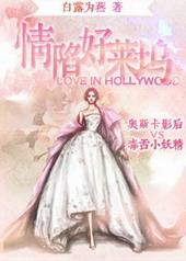 情陷歌曲原唱dj何鹏版