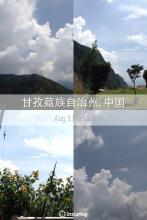 晨雾在线阅读