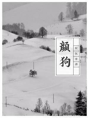 颜狗柯