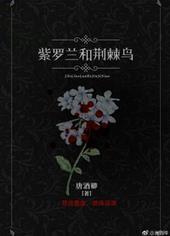 紫罗兰和荆棘鸟txt
