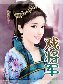 介将军是什么戏