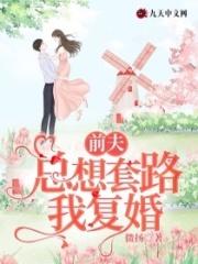 前夫总想骗我复婚