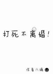 打死不离婚by六璃