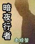 暗夜行者的意思解释