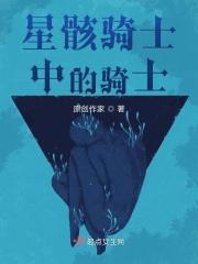星骸骑士讲的啥