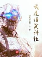 武道巅峰顶点