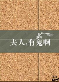 夫人有请