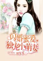 闪婚蜜爱总裁独宠小甜妻