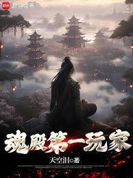 魂殿第一玩家txt精校版