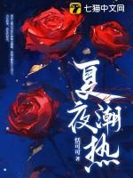 夏夜免费阅读
