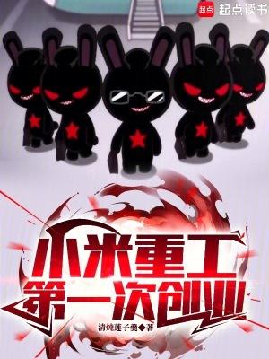 小米公司近况