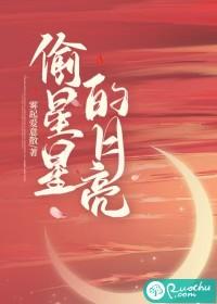 偷星星的月亮歌词