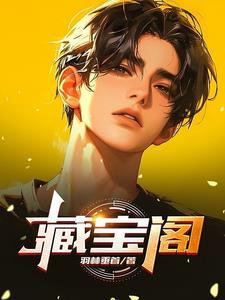 藏宝阁vivo渠道版
