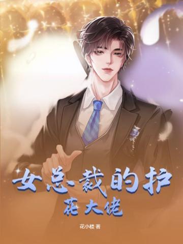 美女总裁护花