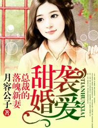 总裁甜宠新妻
