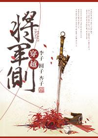 穿越将军文