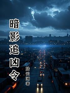 暗夜追凶电视剧结局
