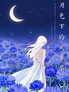 月光下 snh