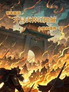 我想看明末风云