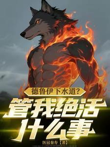 德鲁伊攻略