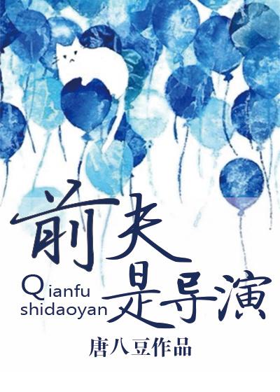 前夫前妻电视剧