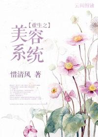 重生之美丽系统dachuidao