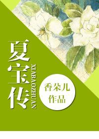 夏宝传ⅲ书包网