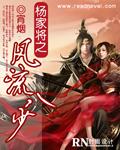 杨家将之风流八少无删减