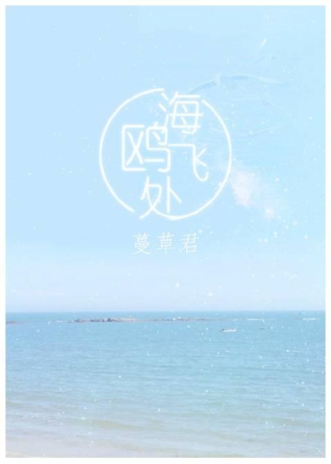 电影海鸥飞处土豆视频