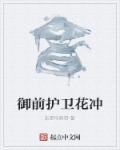 御前侍卫武功