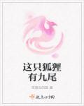 狐狸九个尾巴