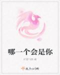 哪个是你的人