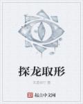 探龙讲的是什么故事?