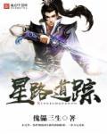 星路迷踪txt莫仁