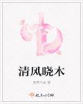 清风晓月伴星辰是什么意思