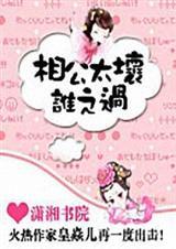 相公有点坏全文