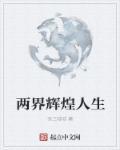 辉煌人生免费阅读
