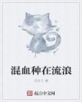 混血人种主要分布在什么地区